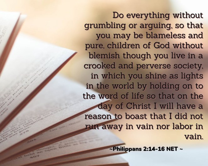 verse for 14th