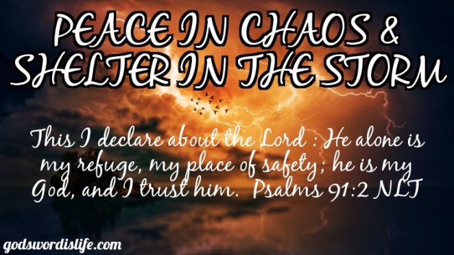 peace &amp; shelter 2.jpg